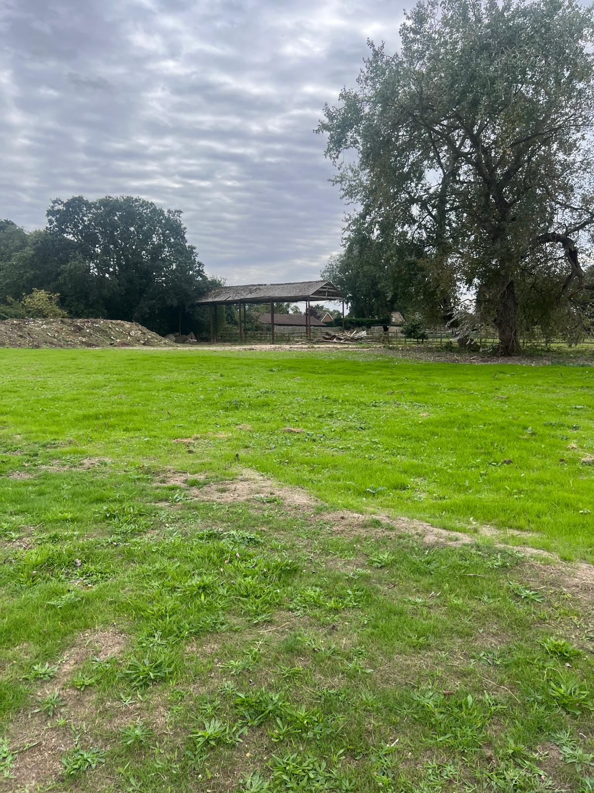 Paddock cleared and tidied