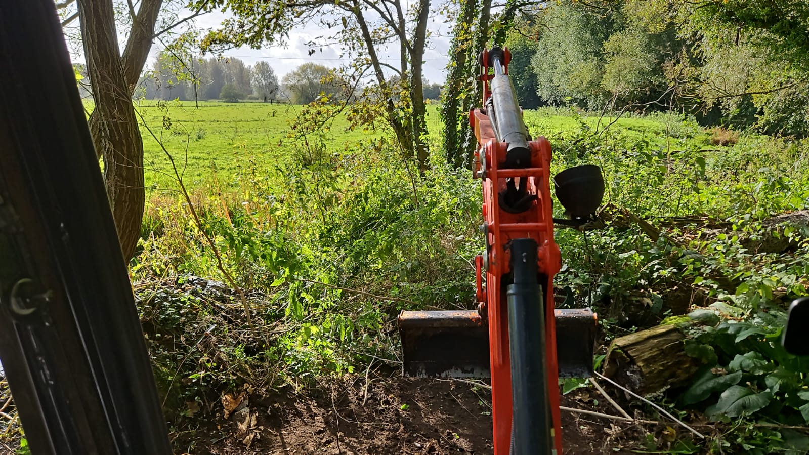 Digger clearing overgrown ground