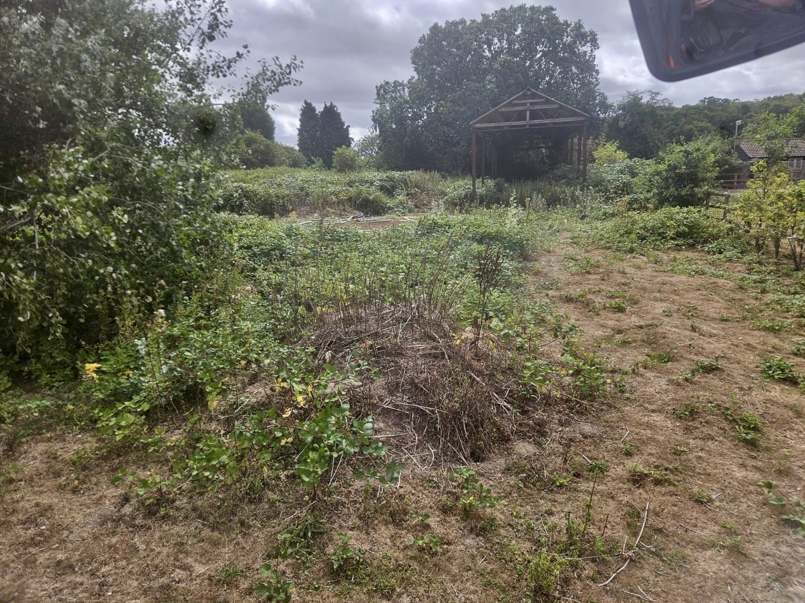 Paddock before clearance